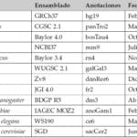 ADN Vs ARN: una tabla comparativa resaltando las diferencias clave