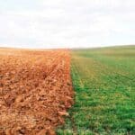 Cuáles son las principales diferencias entre el suelo y la tierra