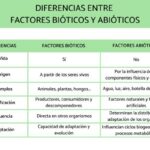 Factores bióticos vs abióticos: Definiciones y Ejemplos