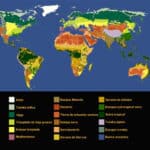 Principales biomas de la Tierra: Ecosistemas diversos en todo el mundo