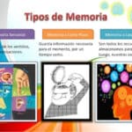 Tipos de memoria: Corto plazo, Largo plazo y Sensorial con Ejemplos