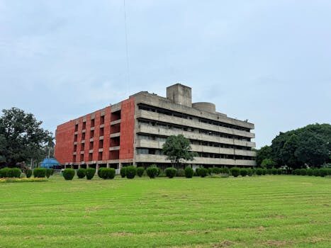 2020 Honda Civic review & buying guide | Variety show