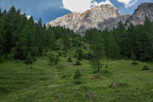 2021 Toyota Highlander Review | What’s new, size, fuel efficiency