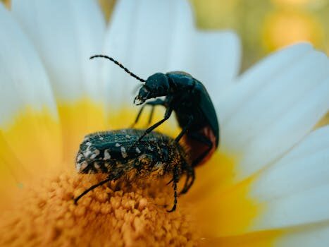 2021 Volkswagen Tiguan review | What’s new, pricing and specs