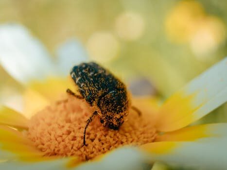 2021 Volkswagen Tiguan review | What’s new, pricing and specs