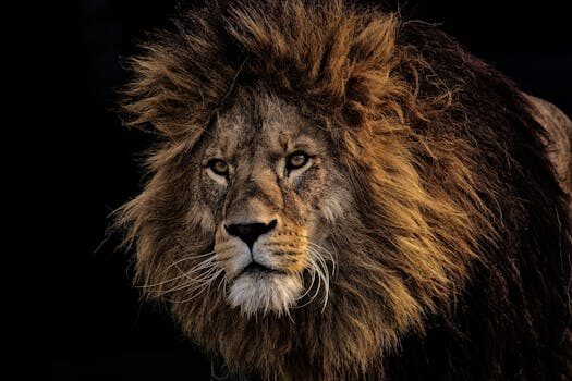 Buick Regal GS brings performance back to TriShield brand