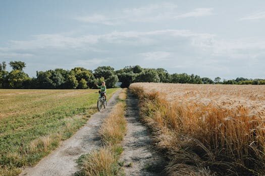 ‘Drive & Listen’ app takes you on a virtual car ride