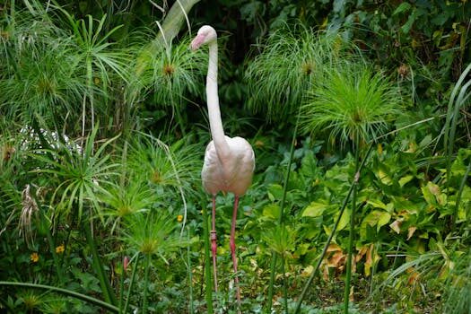 Ease into the weekend with a world of only pink Porsche