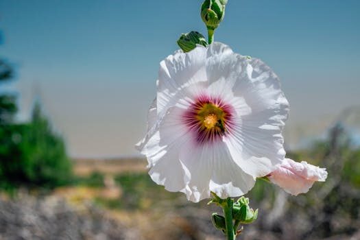 Ease into the weekend with a world of only pink Porsche