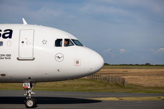 The best steering wheel cleaners of 2024