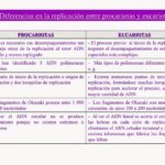 7 Diferencias Clave entre Replicación y Transcripción de ADN