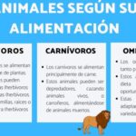 Animales Salvajes vs. Domésticos: 10 Diferencias Cruciales