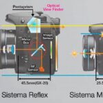 Cuáles son 10 diferencias claves entre DSLR y cámaras digitales