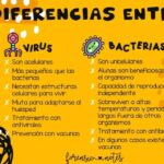 Cuáles son las 10 diferencias clave entre virus y bacterias