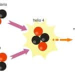 Cuáles son las 5 diferencias clave entre fusión y fisión