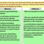 Cuáles son las diferencias entre reproducción sexual y asexual
