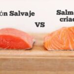 Cuáles son las diferencias entre salmón de granja y silvestre