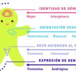 Cuáles son las diferencias entre ser transgénero y transexual