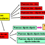 Cuáles son las principales diferencias entre las fuerzas