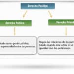 Diferencias Clave entre Derecho Público y Privado