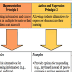 e.g. vs i.e.: Descubre las 5 Diferencias Cruciales en su Uso