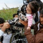 Inmigrante vs Refugiado: Descubre sus 7 Diferencias Clave
