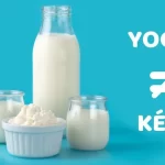 Kéfir vs Yogurt: Descubre sus 10 principales diferencias