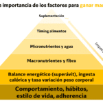 Masa vs Peso: Desentrañando sus 7 diferencias clave