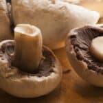 Portobello vs Shiitake: Descubre las 5 Diferencias Clave